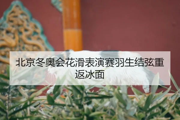 bei-jing-dong-ao-hui-hua-hua-biao-yan-sai-yu-sheng-jie-xian-chong-fan-bing-mian-3-367.jpg