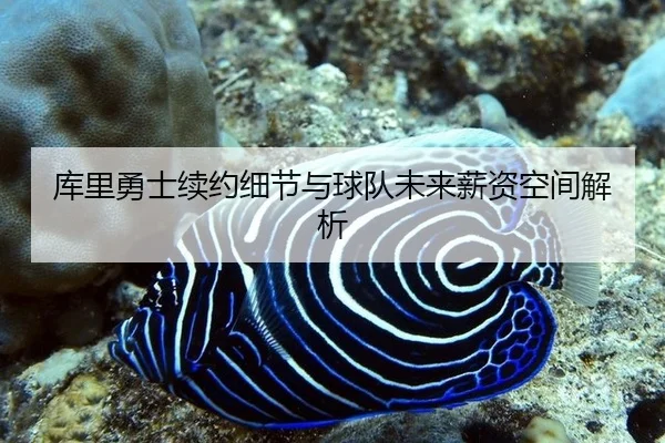 ku-li-yong-shi-xu-yue-xi-jie-yu-qiu-dui-wei-lai-xin-zi-kong-jian-jie-xi-2-305.jpg