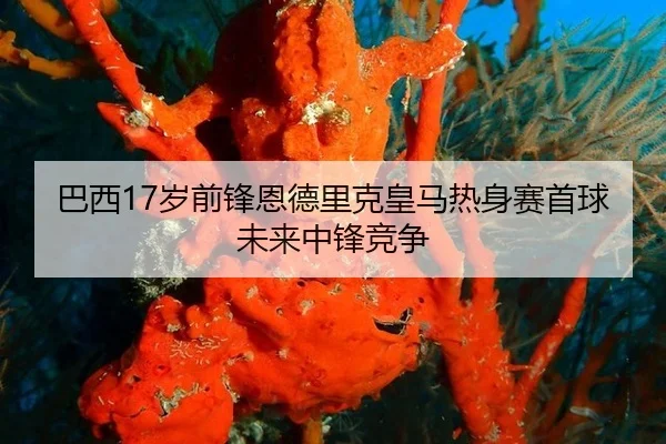 巴西17岁前锋恩德里克皇马热身赛首球未来中锋竞争