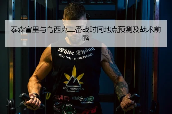 泰森富里与乌西克二番战时间地点预测及战术前瞻