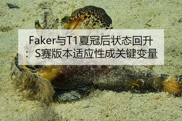 Faker与T1夏冠后状态回升：S赛版本适应性成关键变量